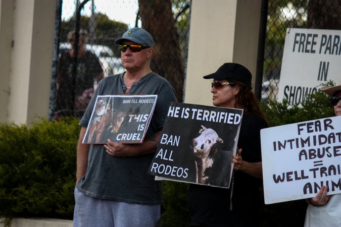 Protest outside of Queanbeyan Rodeo