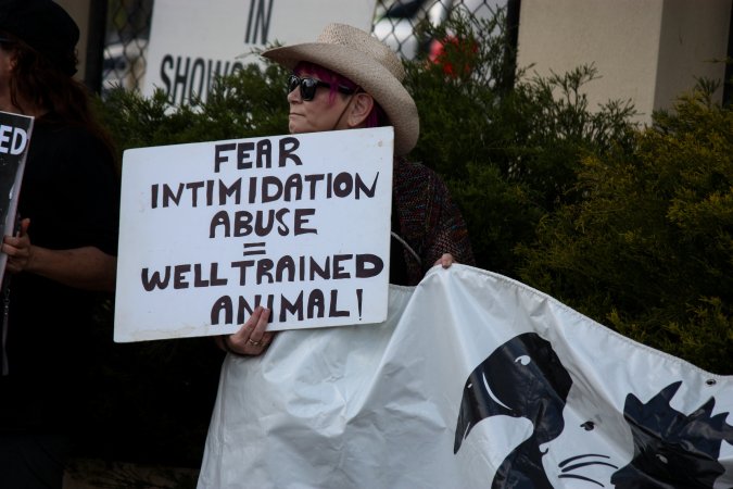 Protest outside of Queanbeyan Rodeo