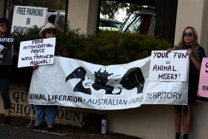 Protest outside of Queanbeyan Rodeo
