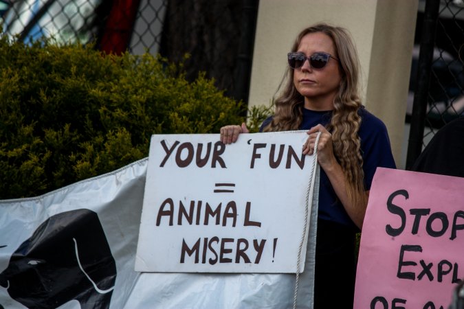 Protest outside of Queanbeyan Rodeo