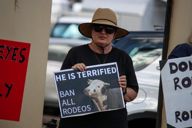 Protest outside of Queanbeyan Rodeo