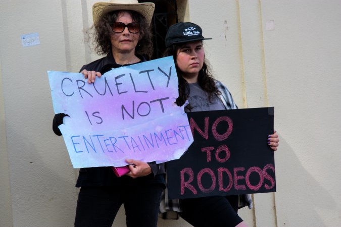 Protest outside of Queanbeyan Rodeo