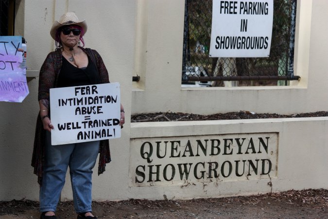 Protest outside of Queanbeyan Rodeo
