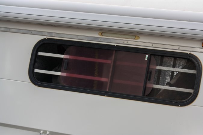 Horses in trailer outside of Queanbeyan Rodeo