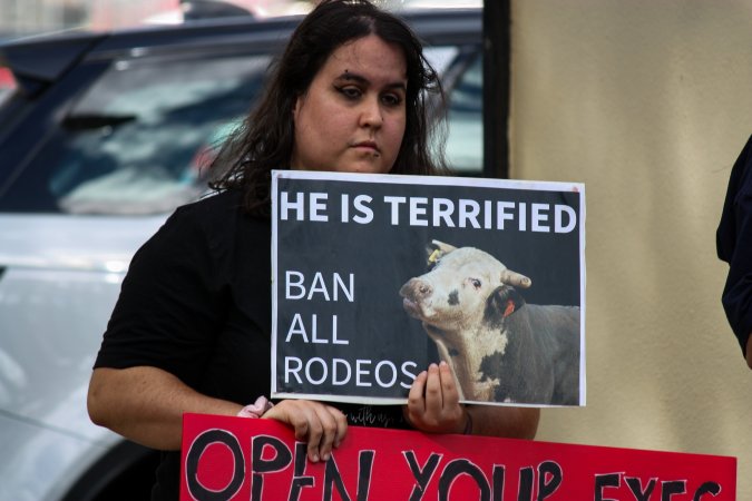 Protest outside of Queanbeyan Rodeo