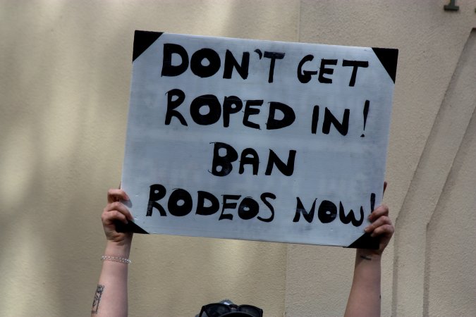 Protest outside of Queanbeyan Rodeo