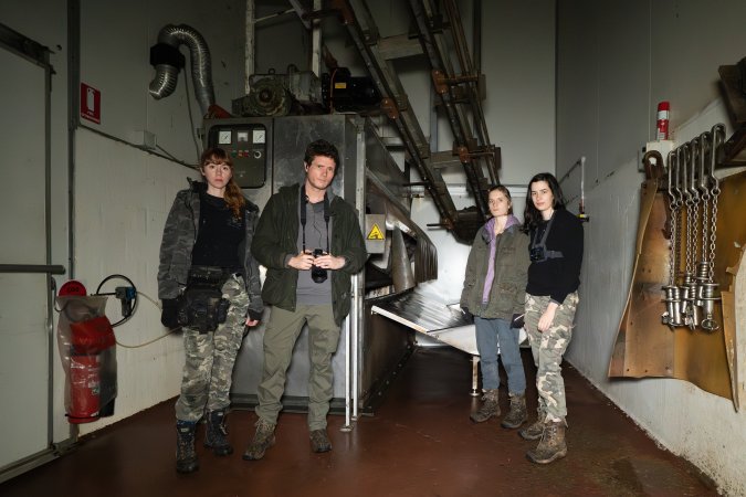 Investigators in slaughterhouse kill room