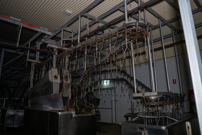 Shackle line