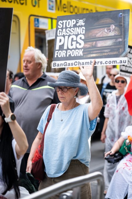 Dominion Animal Rights March 2025
