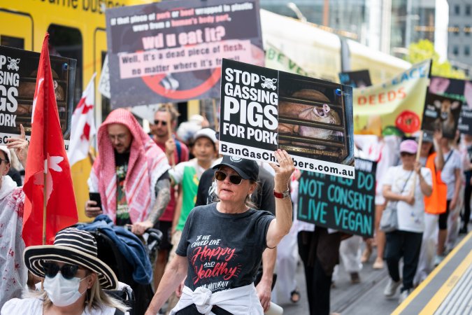 Dominion Animal Rights March 2025