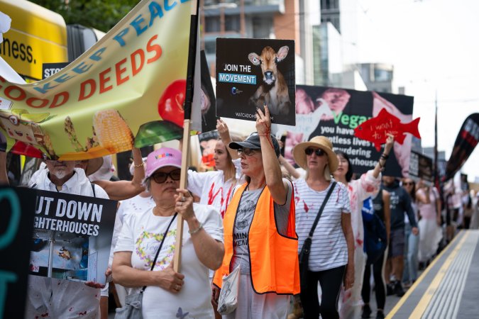 Dominion Animal Rights March 2025