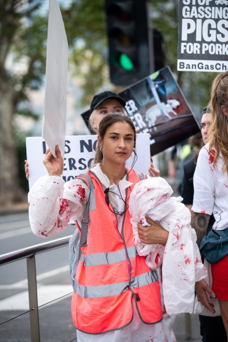 Dominion Animal Rights Marc 2025