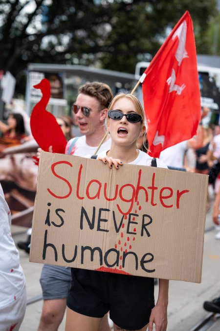 Dominion Animal Rights Marc 2025