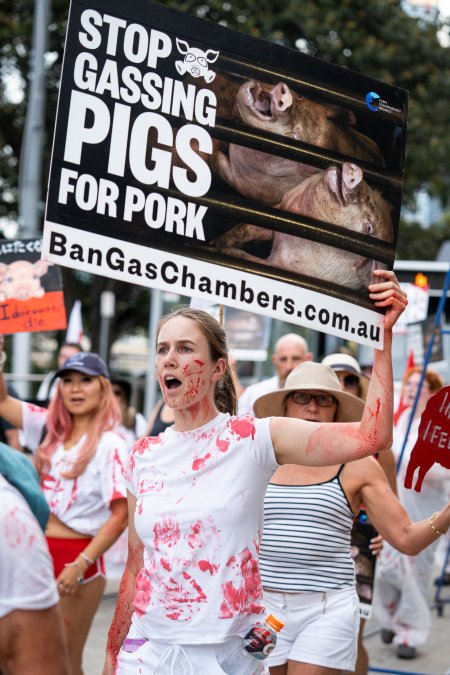 Dominion Animal Rights Marc 2025