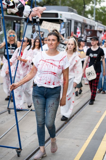 Dominion Animal Rights Marc 2025