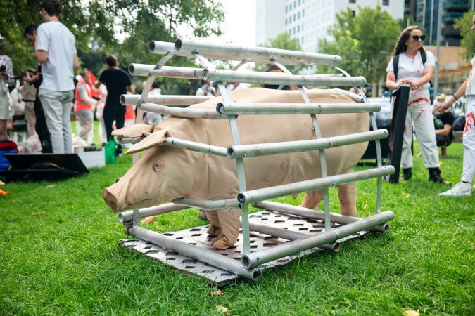 Dominion Animal Rights Marc 2025