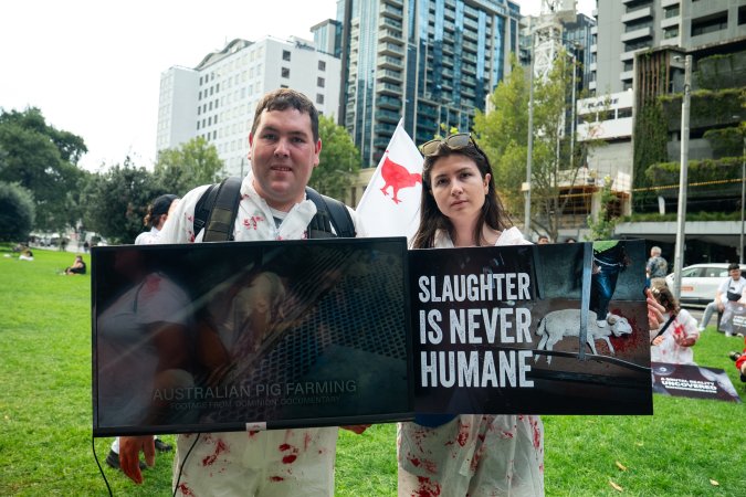 Dominion Animal Rights Marc 2025