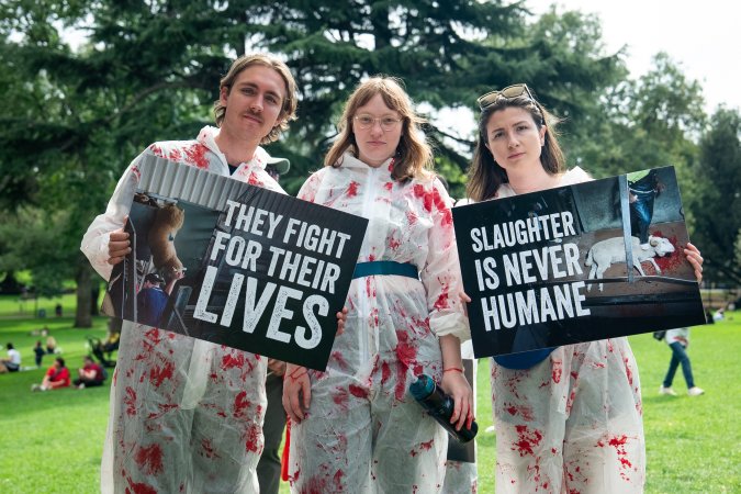 Dominion Animal Rights Marc 2025