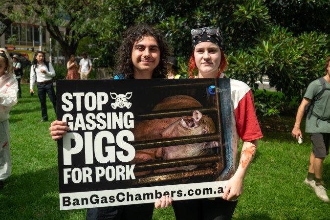 Dominion Animal Rights Marc 2025