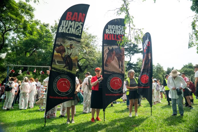 Dominion Animal Rights Marc 2025