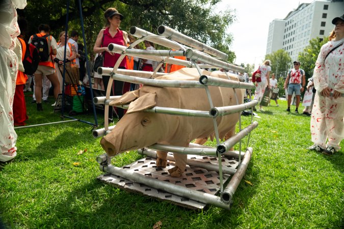 Dominion Animal Rights Marc 2025