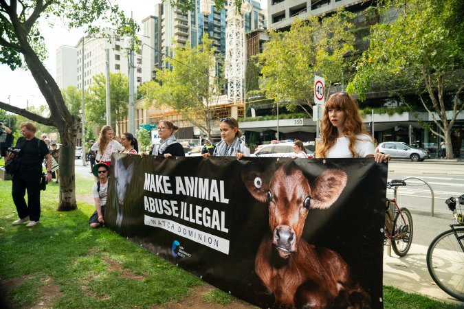 Dominion Animal Rights Marc 2025