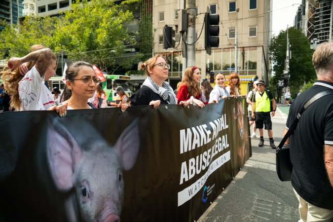 Dominion Animal Rights Marc 2025