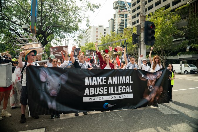 Dominion Animal Rights Marc 2025