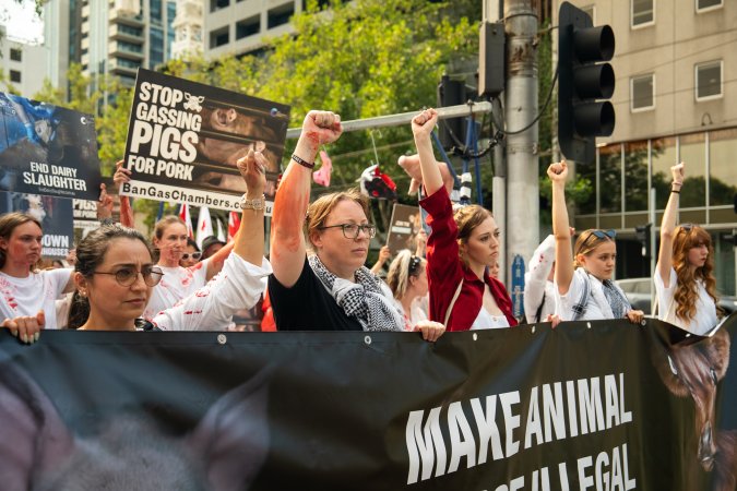 Dominion Animal Rights Marc 2025