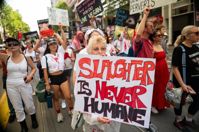 Dominion Animal Rights Marc 2025