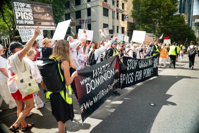 Dominion Animal Rights Marc 2025