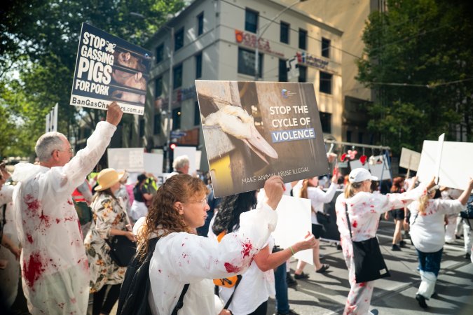 Dominion Animal Rights March 2025