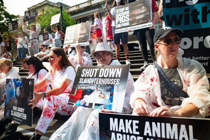 Dominion Animal Rights March 2025