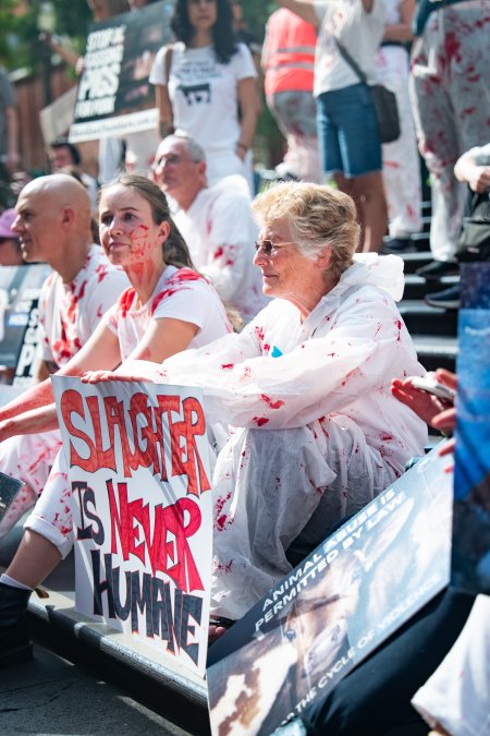Dominion Animal Rights March 2025