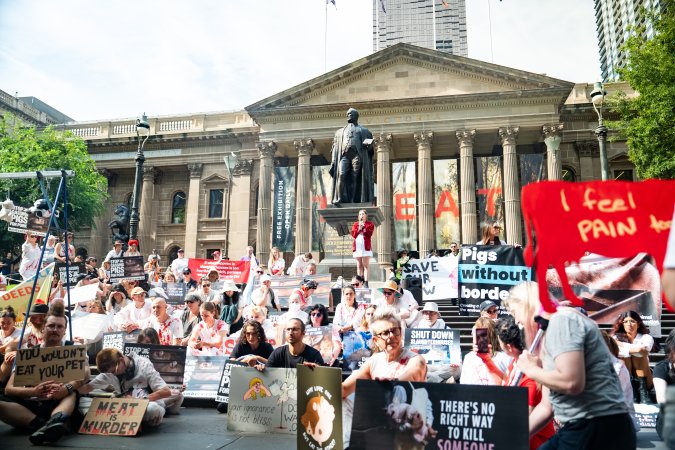 Dominion Animal Rights March 2025