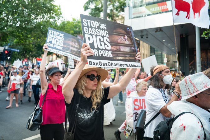Dominion Animal Rights March 2025