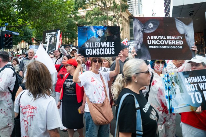 Dominion Animal Rights March 2025