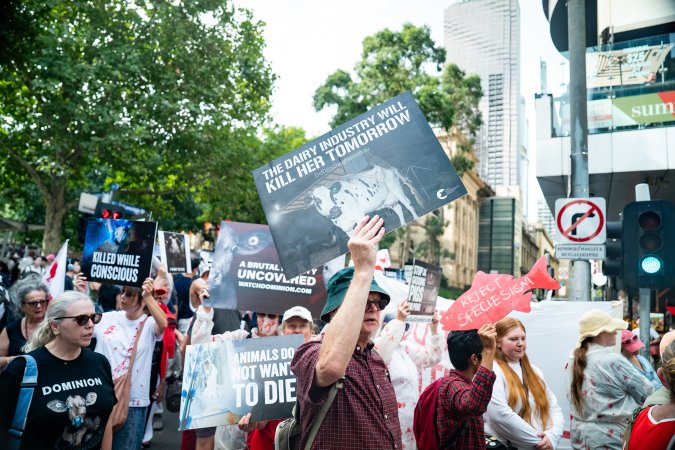 Dominion Animal Rights March 2025