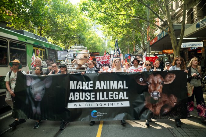 Dominion Animal Rights March 2025