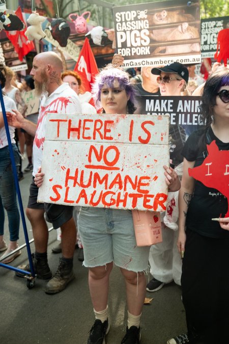 Dominion Animal Rights March 2025