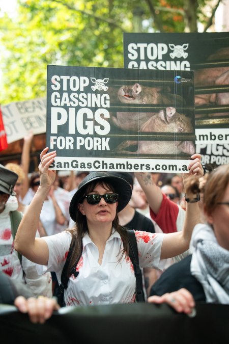Dominion Animal Rights March 2025