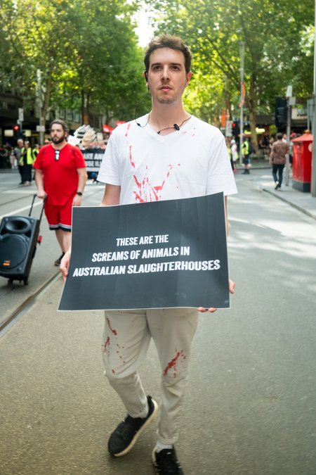Dominion Animal Rights March 2025