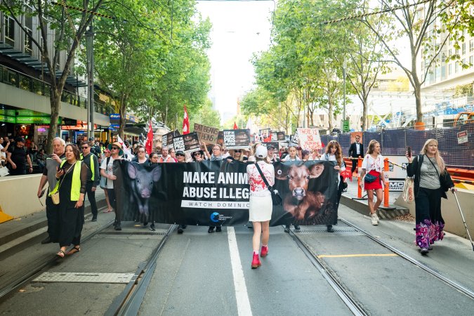 Dominion Animal Rights March 2025