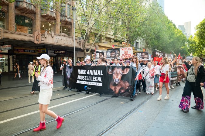 Dominion Animal Rights March 2025