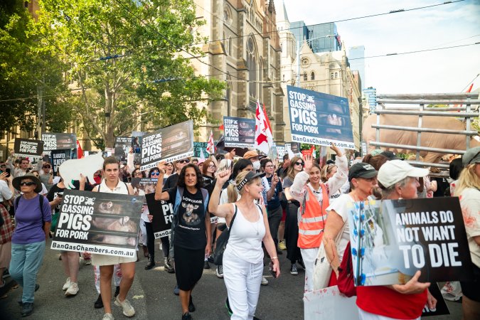 Dominion Animal Rights March 2025