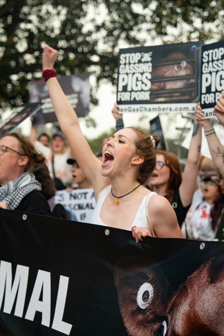 Dominion Animal Rights March 2025