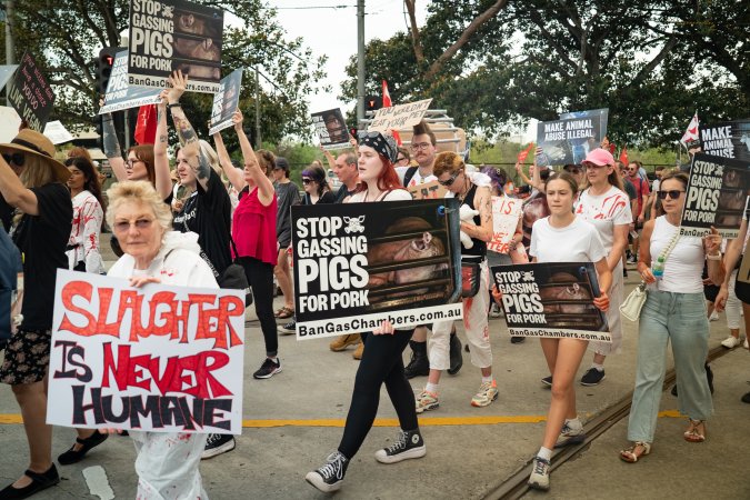Dominion Animal Rights March 2025