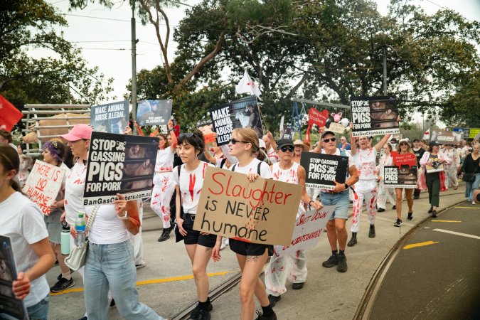 Dominion Animal Rights March 2025