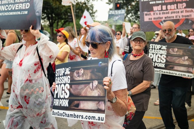 Dominion Animal Rights March 2025