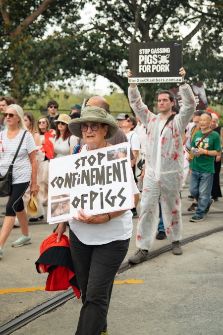 Dominion Animal Rights March 2025